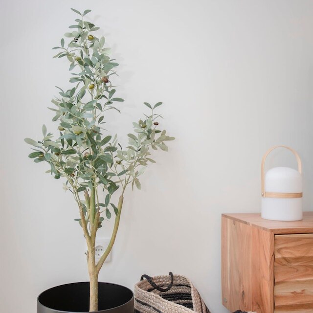 NAX アパートメント E バイ リービング