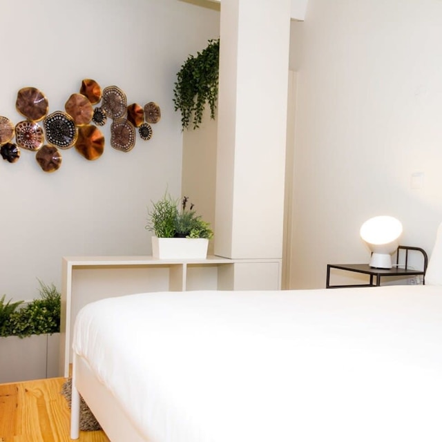 リーヴィング イン ポルト インヴィクトゥス ボルホ ガーデン