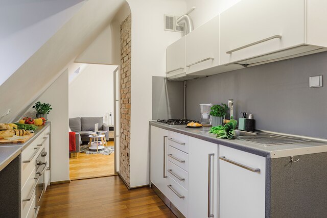 ルミナ 2-レベル チャーミング アパート