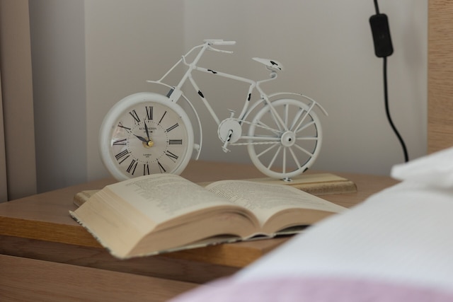 ヴンダーアパートメンツ チミエルナ 100