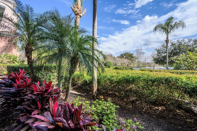 ラグジュアリー レイクビュー、ビスタ ケイ オーランド 1027