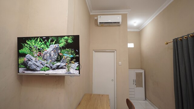 キングコスト ティノシディン