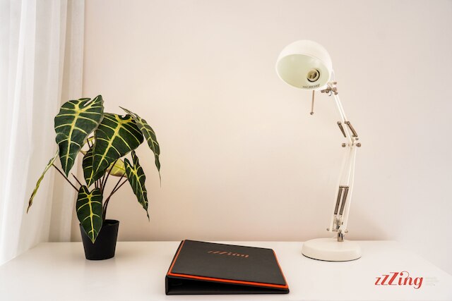 メディテラニアン リビング ライト バイ ザ シー