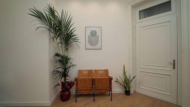 マネーレ スイーツ