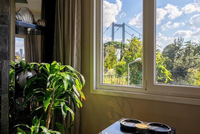 ボスポラス ビュー デュプレックス ウィズ テラス イン オルタコイ