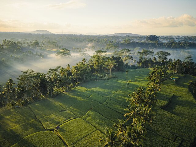 ウブド マス グランピング ラグジュアリー テント