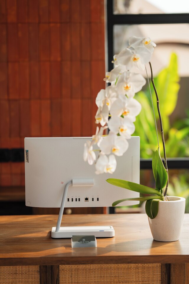 ウブド マス グランピング ラグジュアリー テント