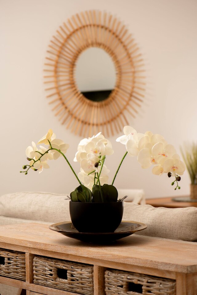 オアシス ケアンズ - プール フリー パーキング WiFi