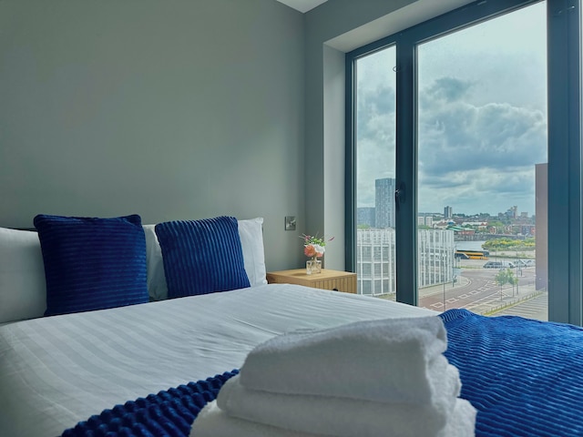 シティ センター アルバート ドック & アリーナ アパートメント