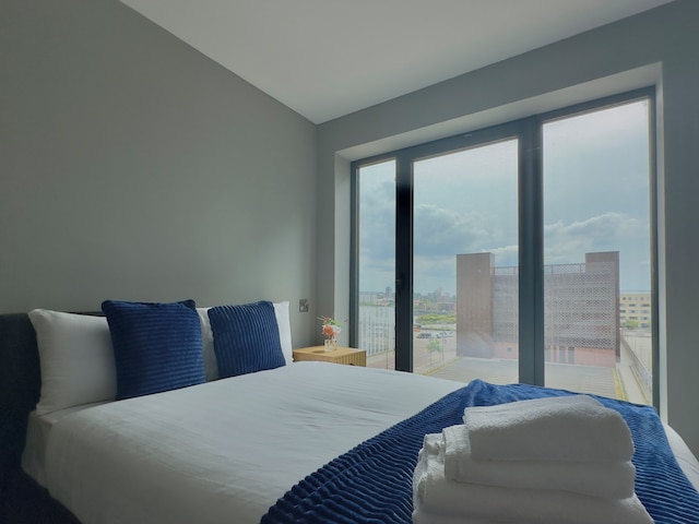 シティ センター アルバート ドック & アリーナ アパートメント