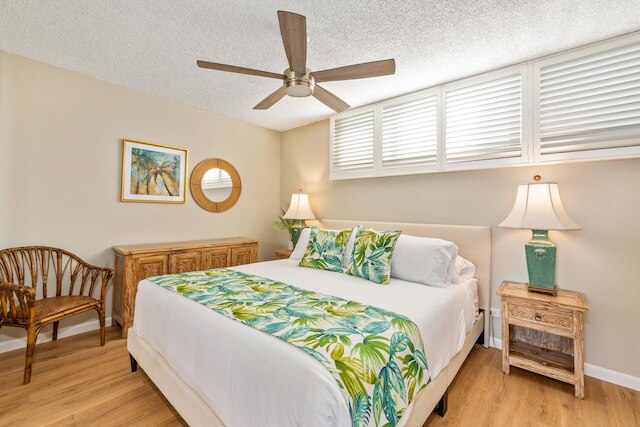 パパケア L208 イン カアナパリ