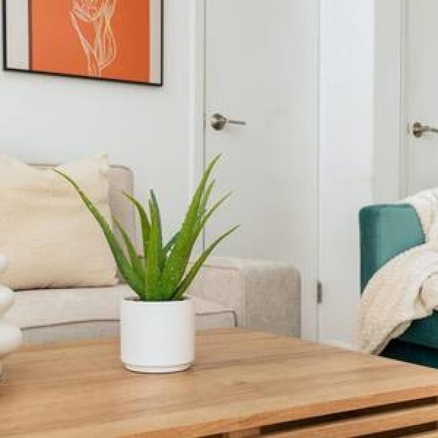 444-4d プライム スタジオ ヘルズ キッチン