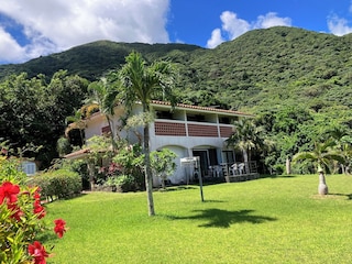 サウスシー 石垣