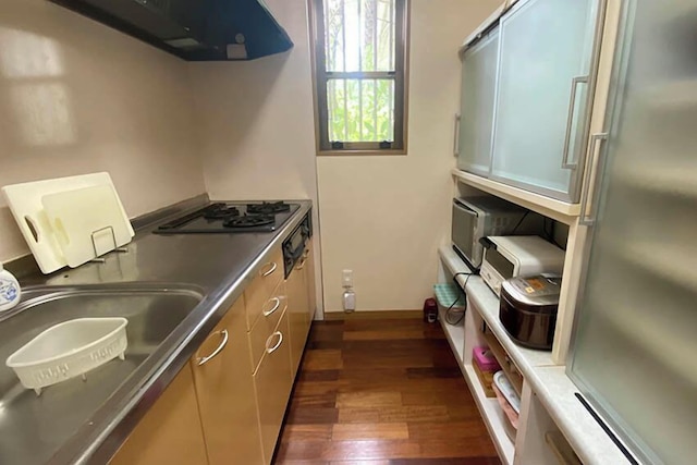 サウスシー 石垣