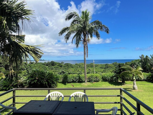 サウスシー 石垣