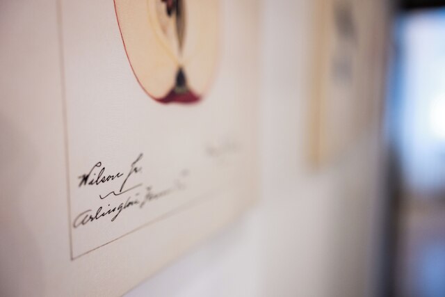 ネイティブ アパートメンツ スカヴィンスカ 5