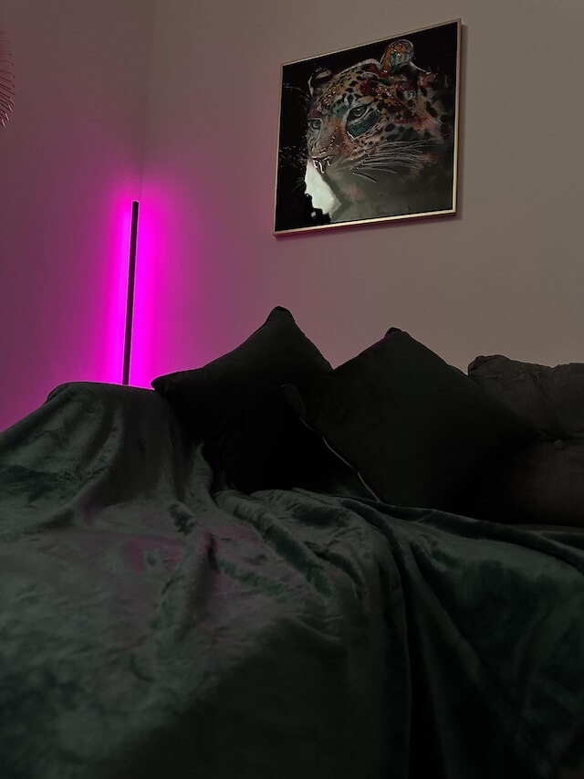 コージー マンチェスター ハウス ニア エティハド アンド クープ ライブ