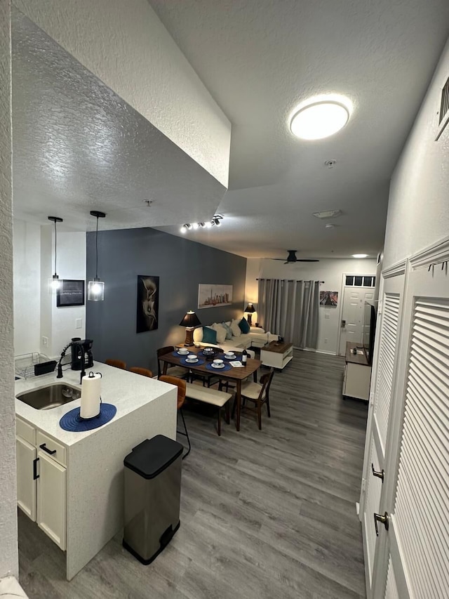 ディズニー バケーション - 3 クアルトス