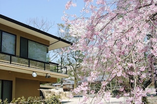 山神温泉湯乃元館