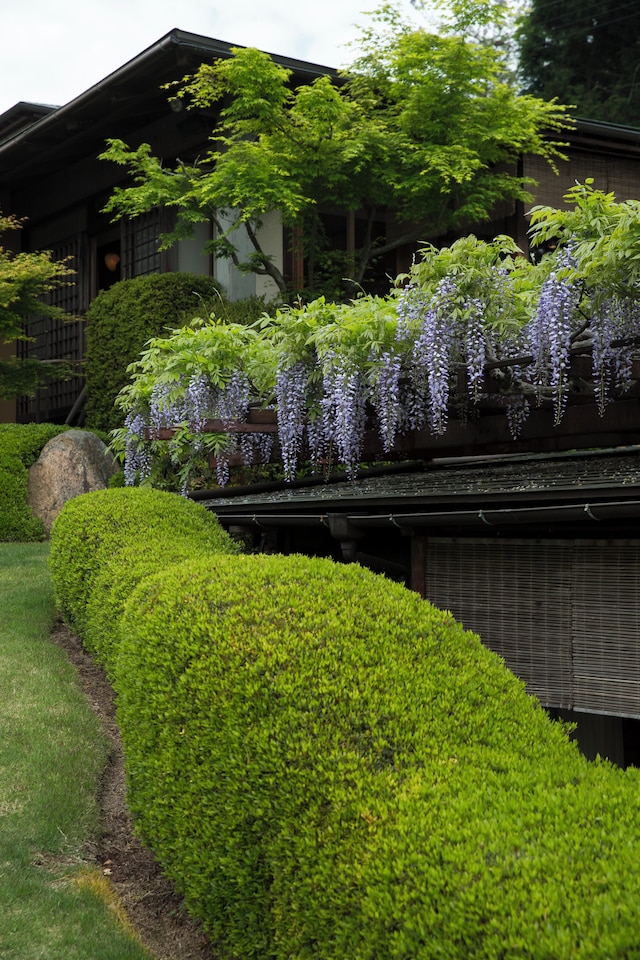 庭園の宿　石亭