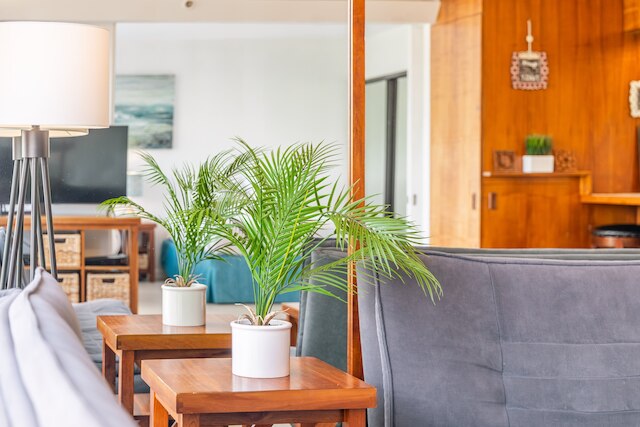 マウンテンビュー コンド ウィズ 2 ダブル ベッド アンド パーキング