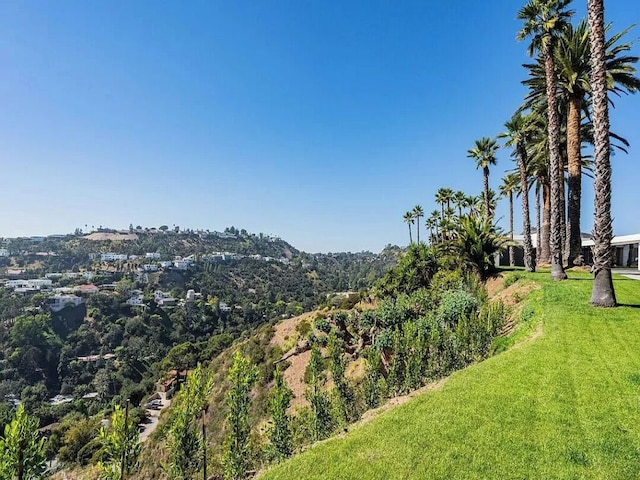 モナーク モダン