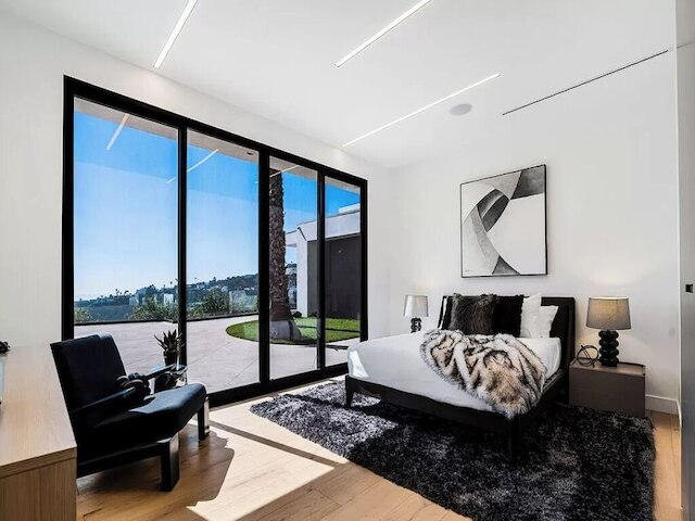 モナーク モダン