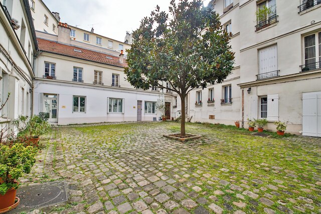 WS ノートルダム - ジュシュー