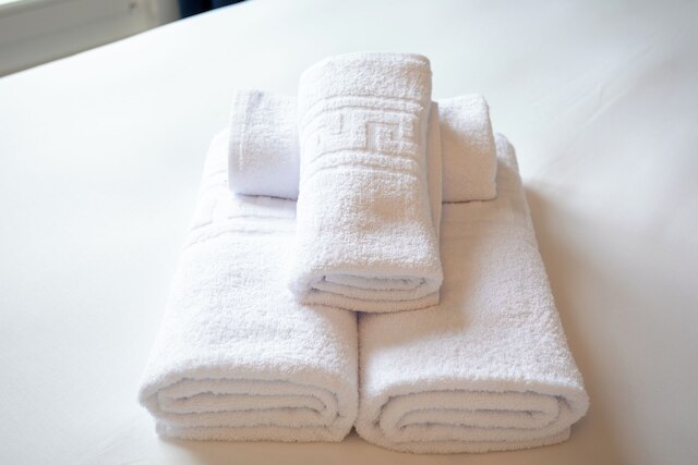 WS ノートルダム - リネ