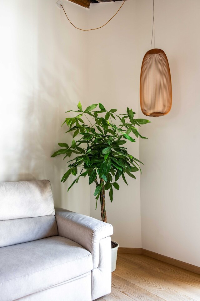 カーサ ディ デザイン ネッラ ピアッツェッタ