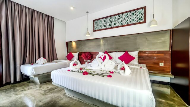 ザ カーム オアシス