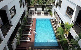 ザ カーム オアシス