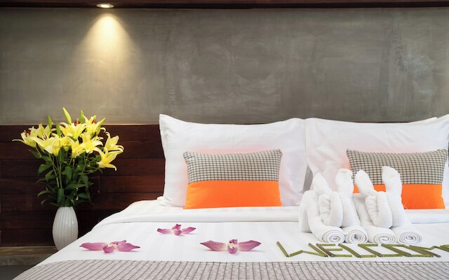 ザ カーム オアシス