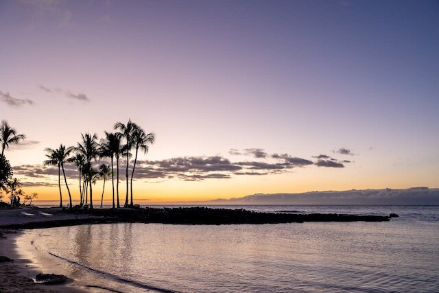 サンディ トーズ ゲッタウェイ イン コナ