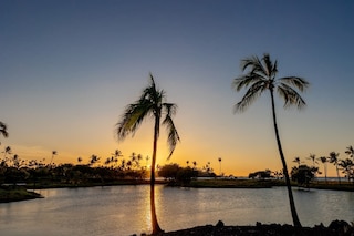 アイランド エレガンス プライム スポット