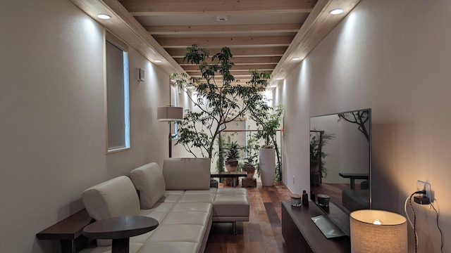 美と健康のまち Cosmic Town