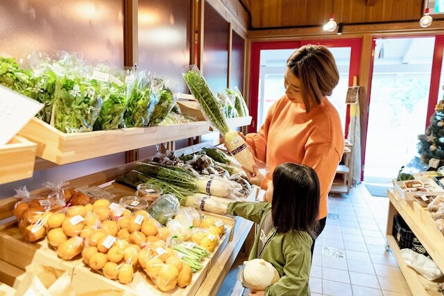 かいづか いぶきヴィレッジ