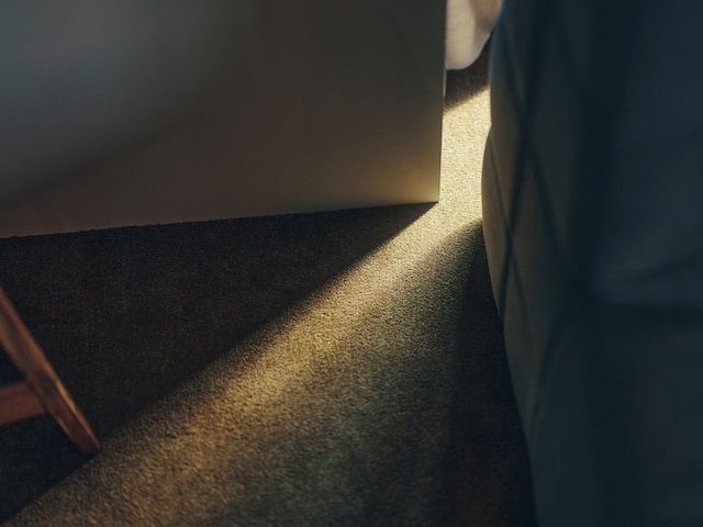 illi Surp Shiba-Park