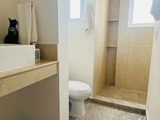 ラ ディオサ コンドス ペントハウス ウィズ プランジ プール