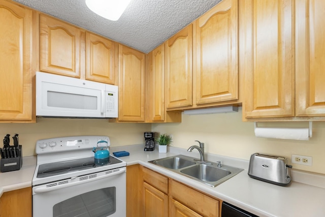 カマオレ サンズ 6-107 1 ベッドルーム コンド