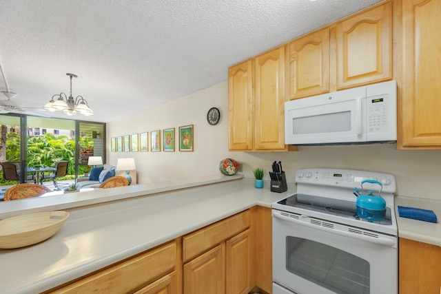 カマオレ サンズ 6-107 1 ベッドルーム コンド