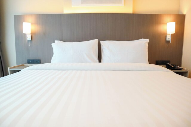 ザ ワン コージー リビング