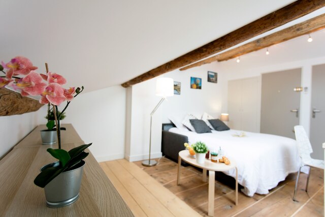 エリア - プルミエ コンシェルジュリー