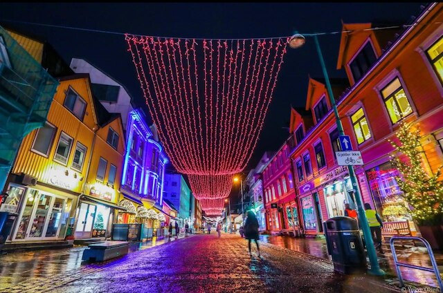 アークティック エスケープ スタジオ イン トロムソ