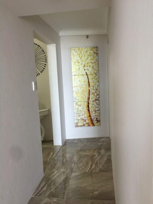 エクスパンシブ オーシャン ビューズ フロム ペニンシュラ