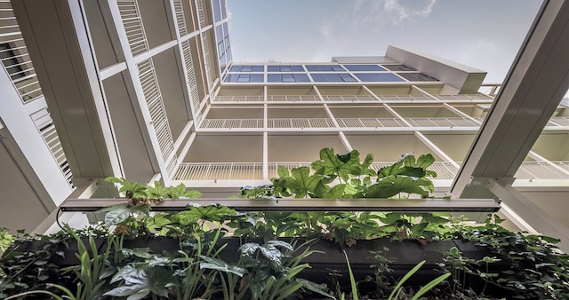 パラッツォ ヴィリディス