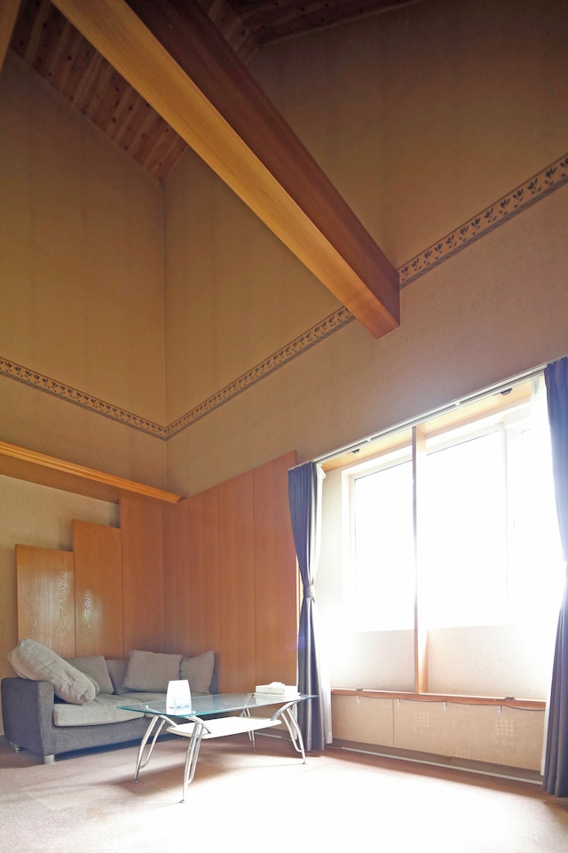 STARRY SKY COTTAGE 12