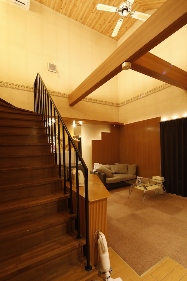 STARRY SKY COTTAGE 12