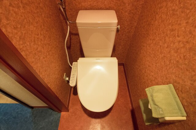 STARRY SKY COTTAGE 17