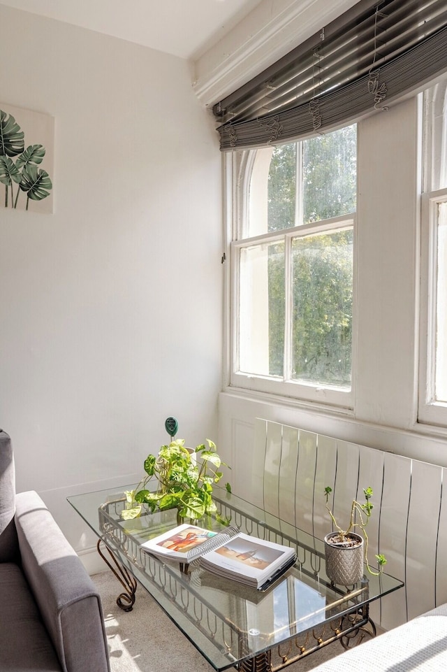 ロンドン オアシス リトリート - 2 ベッドルーム アパートメント